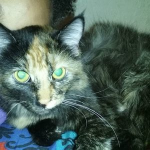 Meet your Posher, Cathy